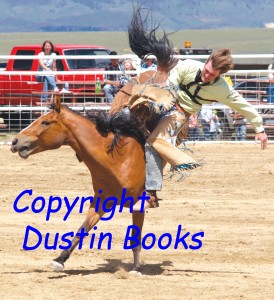 A bronc rider is about to part company with his mount.