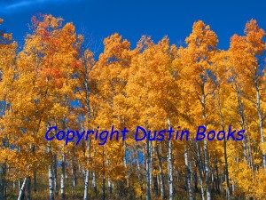 Fall in Colorado can mean stunningly blue skies and striking golden aspens.