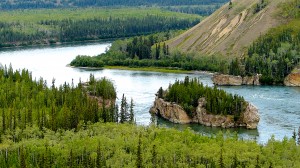 Paddlewheelers plying the Yukon River had to pass this island via the near channel, the wider channel being too shallow. It was a dangerous part of the voyage.