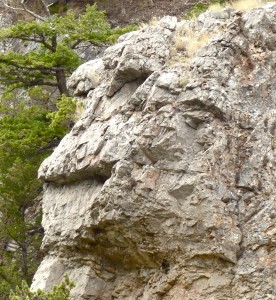 Another face Mom Nature carved into the limestone was this one called either the lizard or the monkey.