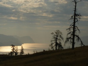 Morning breaks over one of the huge lakes that are found all over British Columbia.