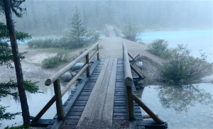 On my third morning, I found this misty river and a trail leading off into endless forest.